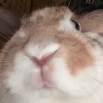 Jonathan Westman Wikman - Facebook Profile Picture of Jonathan Westman Wikman (@Jonathan-Westman-Wikman) on Facebook