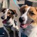 Profile Picture of Kim Armbruster (@kim.armbruster.777) on Facebook