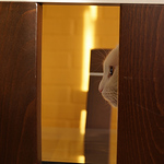 Profile Picture of Alejandro Silva Toledo (@# silva) on Flickr