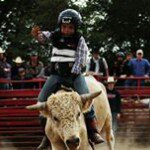 Profile Picture of Harold Fenton (@haroldfenton) on Instagram