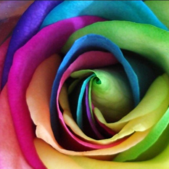 Profile Picture of Anita Blasutto (@arezler) on Poshmark