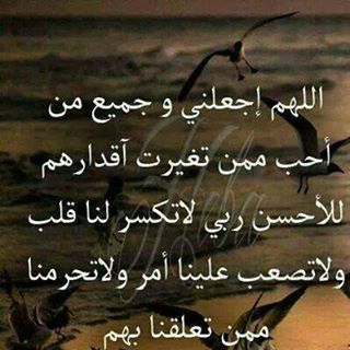 Profile Picture of Hazem Zayed (@Hazem-Zayed) on Facebook