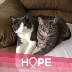 Profile Picture of mimi (@amygasbarro) on Tiktok