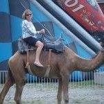 Profile Picture of Lori Small (@loriasmall) on Instagram