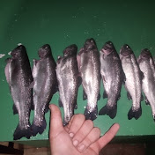 Profile Picture of David Kirkland (@DirtyLilGamers) on Youtube