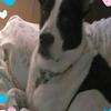 Profile Picture of Carol Mccurdy (@@carolmccurdy) on Tiktok