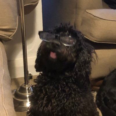 Profile Picture of Amy Wren (@AmyWren9) on Twitter