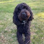 Profile Picture of Nancy Granelli Weland (@nancrn16) on Instagram