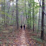 Profile Picture of Michael Gagnier (@nyteryse) on Instagram