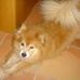 Profile Picture of Fletcher Schefer (@fletcher.schefer) on Facebook