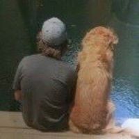 Profile Picture of Travis Hawley (@travis-hawley-4) on Quora