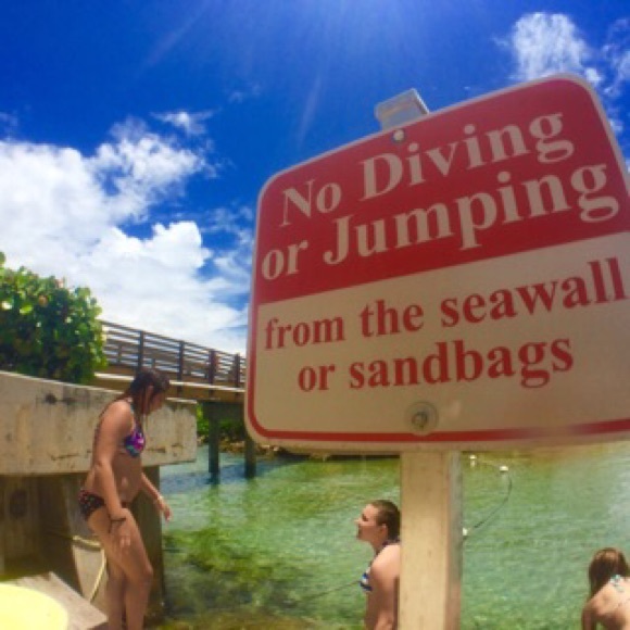 Profile Picture of Chloe Mirkin (@bbbbbyyyyeee) on Poshmark