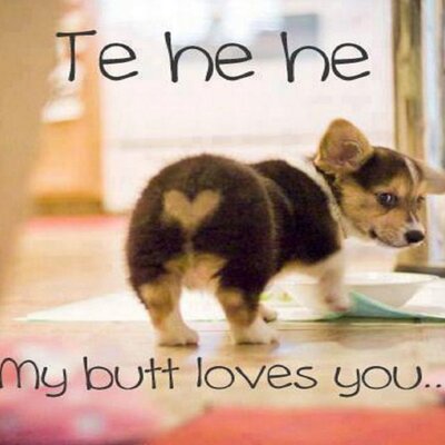 Profile Picture of Anissa Gonzales (@anissag06) on Twitter