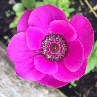 Profile Picture of Dane Moody (@dane.moody.5) on Facebook