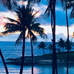 Profile Picture of L Kelley (@l_kelley_dd) on Instagram