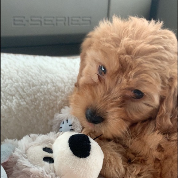 Profile Picture of Megan Mohr (@meganmohr6) on Poshmark