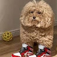 Matthew Plyler - Quora Profile Picture of Matthew Plyler (@matthew-plyler-5) on Quora