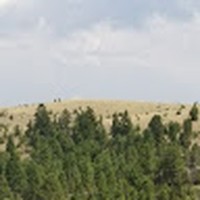 Profile Picture of Zachary Sullivan (@zachary-sullivan-61) on Quora