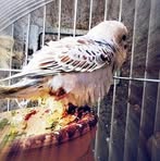 Profile Picture of Johnny Hatter (@Johnny-Hatter) on Facebook