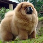 Profile Picture of James' Finsta (@stage.lites) on Instagram