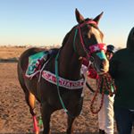 Profile Picture of cesarmancinas (@cesaramancinas08) on Instagram