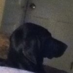 Profile Picture of Grady Andrew Vandal (@grady_vandal) on Instagram