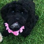 Profile Picture of KevinA (@kevinadderley2806) on Instagram