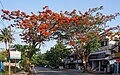 Profile Picture of Siddhartha Nagaron Wikipedia