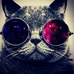 Profile Picture of Brontis (@brontisandfoxigg32) on Instagram