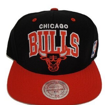 Profile Picture of Chris Lisle (@BullsTISA) on Twitter