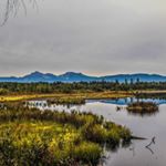 Profile Picture of Lehner Michael (@michael.lehner.71) on Instagram