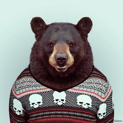 Profile Picture of Daniel Grider (@daniel_grider) on Twitter