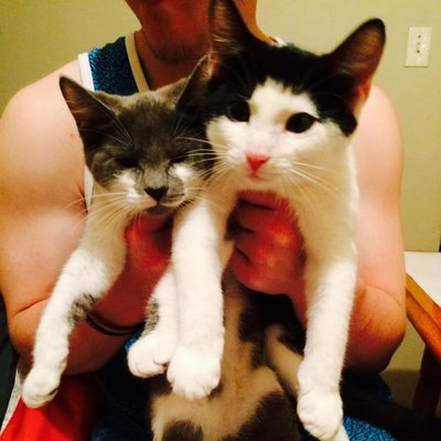 Profile Picture of Joan T Lambert (@joanie_theresa) on Twitter