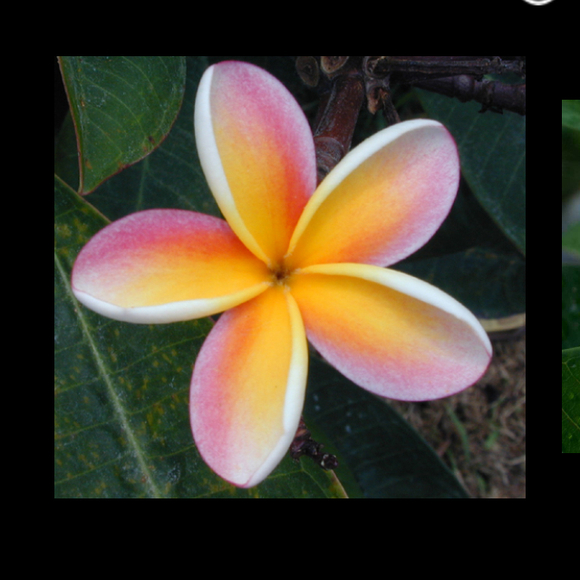 Profile Picture of Kayla Goad (@kaygoad) on Poshmark