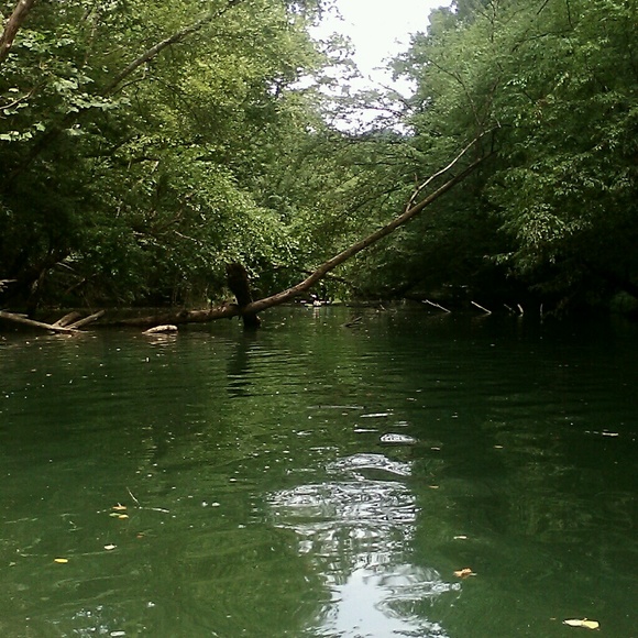 Profile Picture of Jeffrey Walker (@jeff95) on Poshmark