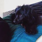 Profile Picture of Jeremy Ulloa (@jeremy123_lel) on Instagram