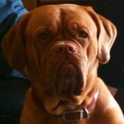 Profile Picture of Thomas Wardlaw (@wideboy03) on Twitter