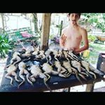Profile Picture of logan james chaisson (@broedmoreboy_lodog) on Instagram