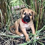 Profile Picture of Sherri Schwartz (@sherri_schwartz_) on Instagram