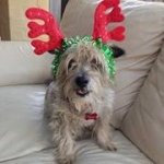 Profile Picture of Debra Kopp (@debradoll62) on Instagram