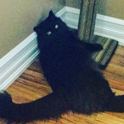 Profile Picture of Andrew Ouellette (@AndrewO28289656) on Twitter