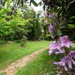 Profile Picture of Liceo Bicentenario Adolfo Matthei (@lb_adolfomatthei) on Instagram
