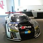 Profile Picture of David Pirro (@davidpirro) on Instagram