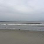 Profile Picture of James Shirar (@shirarjames) on Instagram