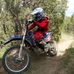 Profile Picture of Robert Kafka (@Robert-Kafka) on Facebook