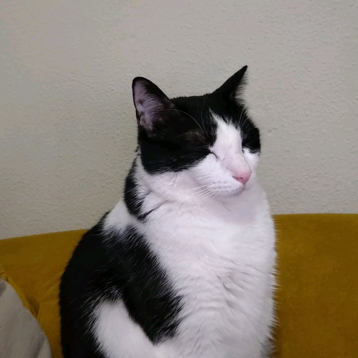 Profile Picture of herbert (@herberttt9) on Tiktok