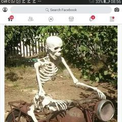 Profile Picture of robz99 (@robertpretorius4) on Tiktok