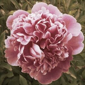 Kymberli Nelson - Pinterest Profile Picture of Kymberli Nelson (@kymberlinelson) on Pinterest