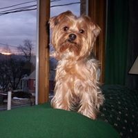 Profile Picture of Marilyn Yeager (@marilyn-yeager) on Quora