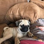 Profile Picture of Daryl (@daryl.lamar_) on Instagram